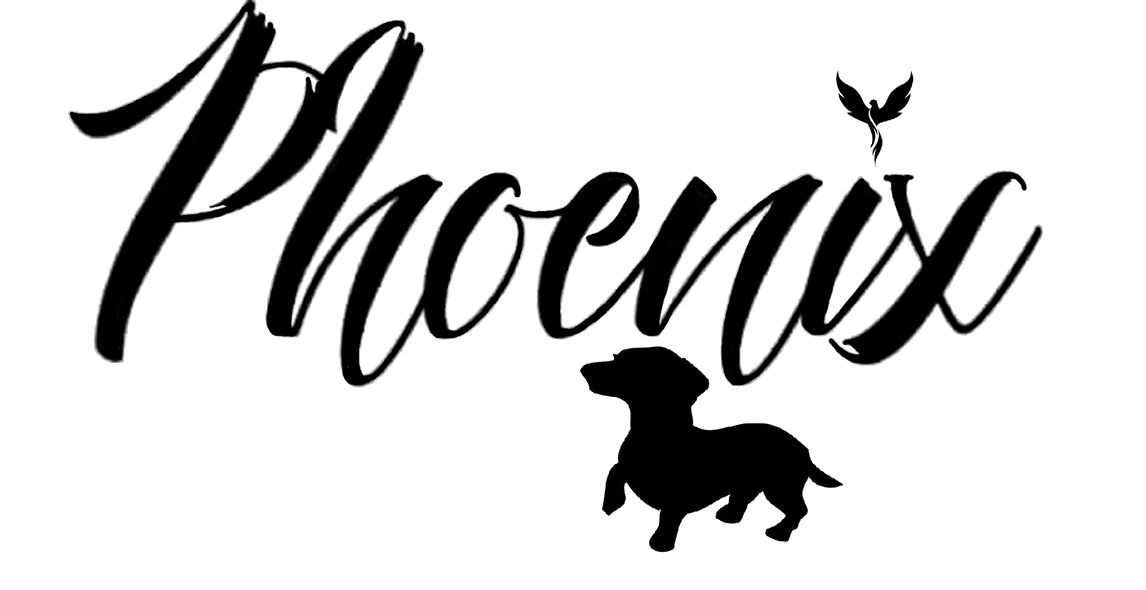 Registered breeders of smooth haired miniature Dachshunds based in the Castilla-La Mancha region of Spain.